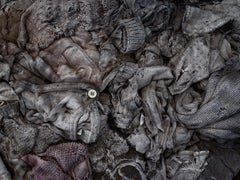 Untitled (last refuge 277)