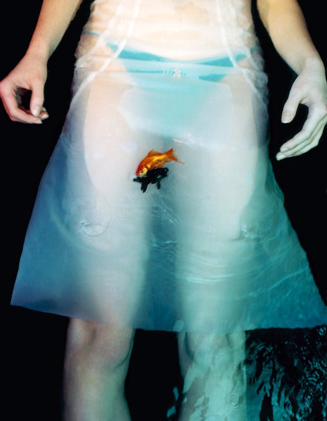 Color Photograph Sophie Delaporte - Les Poissons