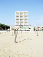 Cavallino Treporti Trees