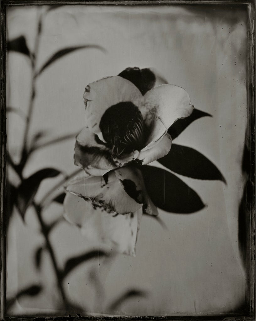 Ichigo Sugawara Black and White Photograph - Usu Hassaku