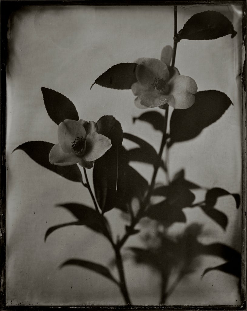 Ichigo Sugawara Black and White Photograph - Eisyouji Wabisuke