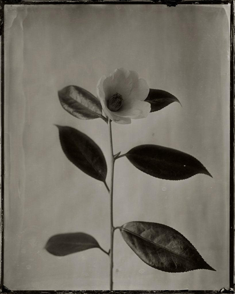 Ichigo Sugawara Black and White Photograph - Yuuraku