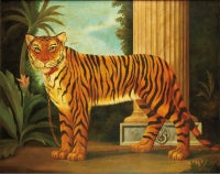 Ventian Tiger