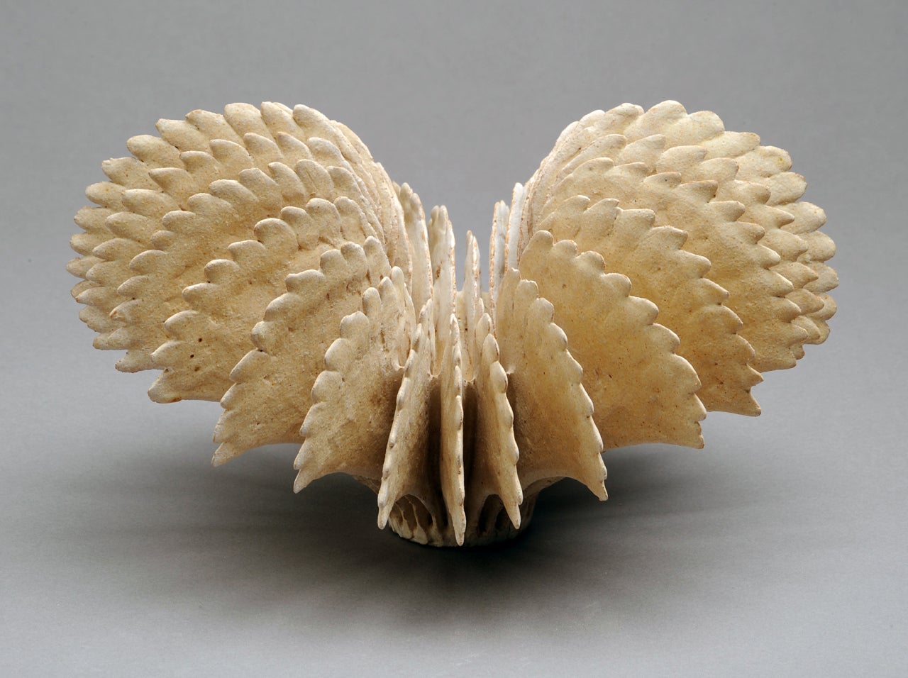 Ursula Morley Price Abstract Sculpture - Cream Fountain Plume Form