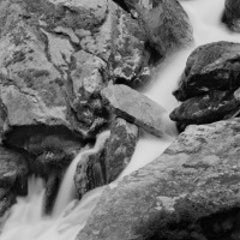 Untitled 6
