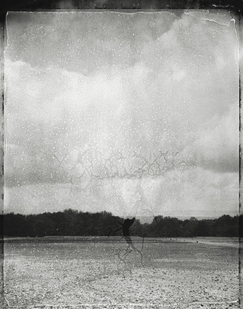 Jessica Kaufman Landscape Photograph - Panopticon 2