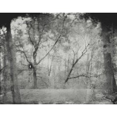 Panopticon 5 1