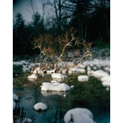 Bog 5