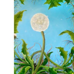 Dandelions 10