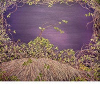 Deep Violet Thicket