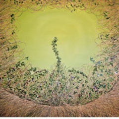 Sage Thicket 11