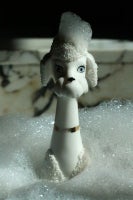 Bubble Poodle