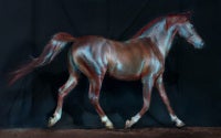 Horse_173 (After Eadweard Muybridge's 'Sallie Gardner at a Gallop')
