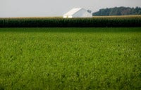 Small White Barn