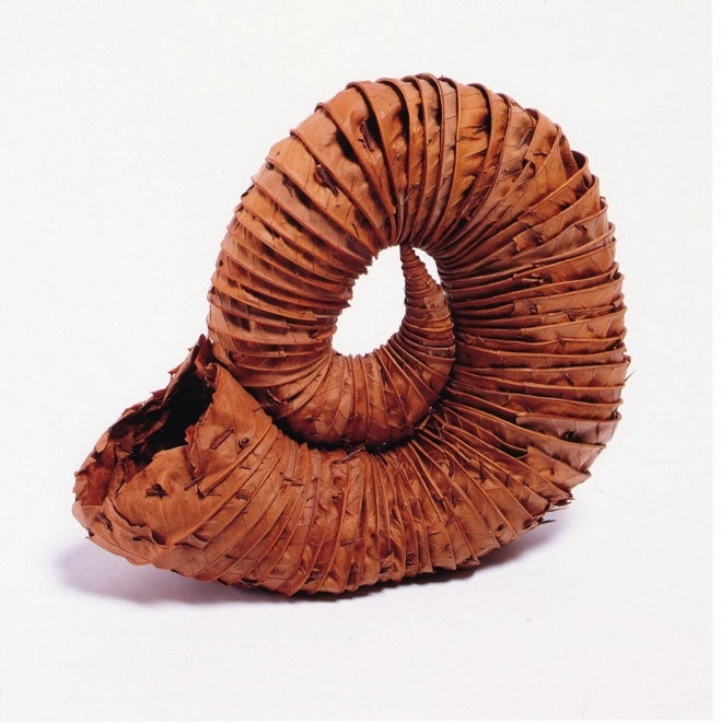 Leaf Horn - Sculpture by Andy Goldsworthy