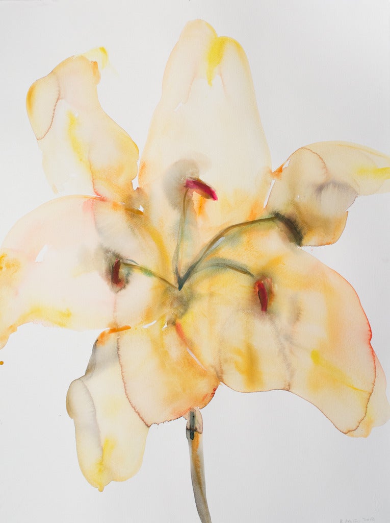 Kim McCarty Still-Life - Dark Yellow Lily