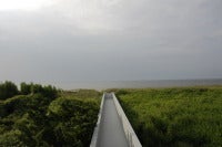 Erika's Walkway (Summer) 5