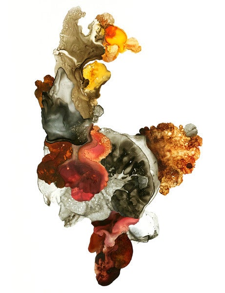Abstract Drawing de Julie Evans - Swishbone nº 8