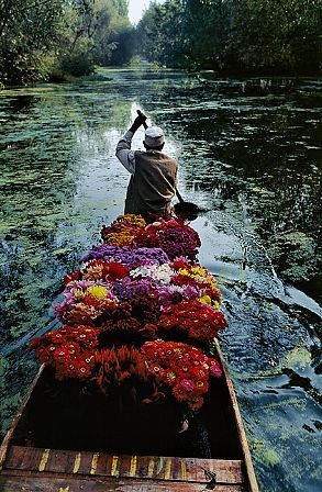 Steve McCurry Color Photograph - Kashmir Flower Seller