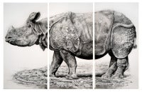 Rhino