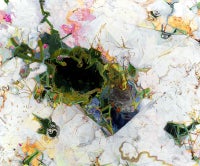 chaos/ the dandelions are over