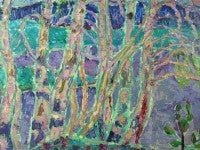 Purple Birch Trees