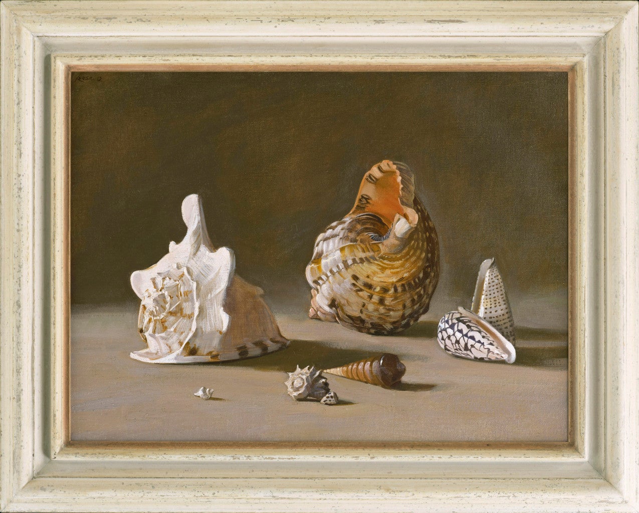Stephen Rose Still-Life Painting - Murex, cone, conch and auger shells
