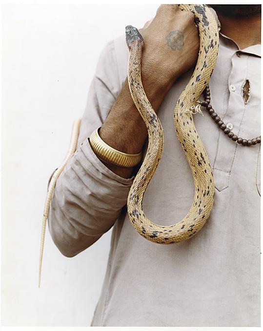 Color Photograph de Christian Witkin - Comecaballos Snaker