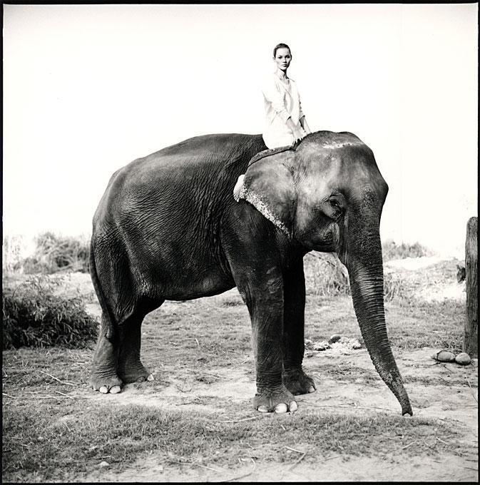 Black and White Photograph di Arthur Elgort - Kate Moss in Nepal, British Vogue - Modella su elefante, fotografia d'autore 1993