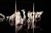 Orphée et Eurydice de Pina Bausch, Paris