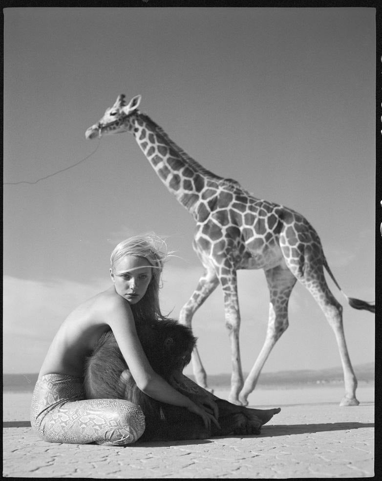 Michel Comte Black and White Photograph - Beauty and Beast II model in desert with monkey and giraffe in the back
