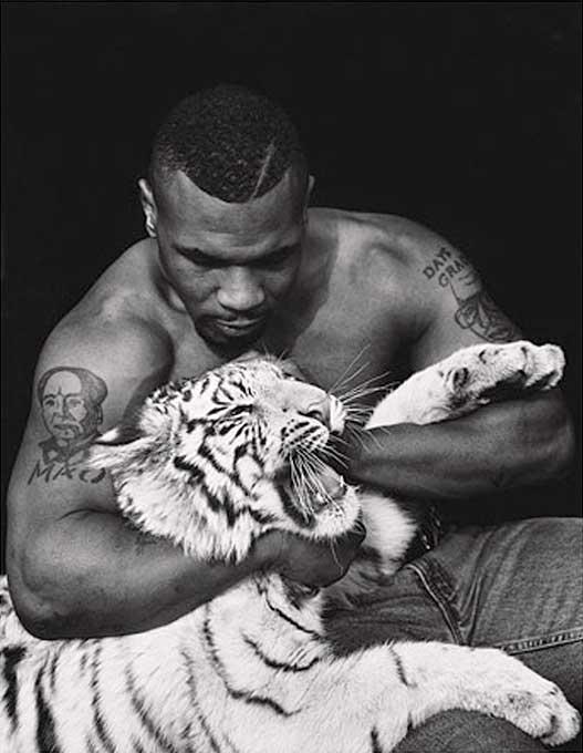 Sante D´ Orazio Black and White Photograph - Mike Tyson, Vegas - the Boxer with a white Tiger cub, fine art photography, 1996