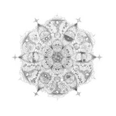Snowflakes 100 Order 5