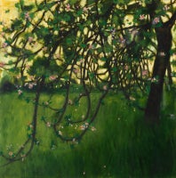 Apple Tree