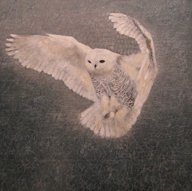 Snowy Owl - Painting by Cindy Kane