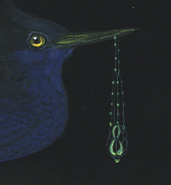 Indigo Nightbird