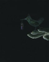 Night Calls 1
