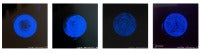 Stellar Axis: Star Paintings