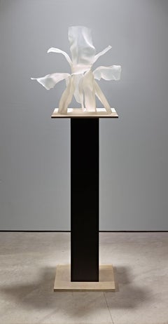 Erinnerung an Sophie Calle''s Blume