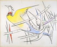 Pajaros en Canaveral