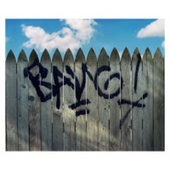 Grassy Knoll - Dealey Plaza (Bang) - Elm St., Dallas, TX 9