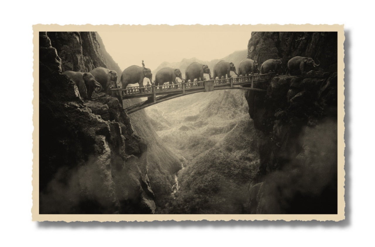 Elephants on a Bridge - Photograph by Thomas Herbrich