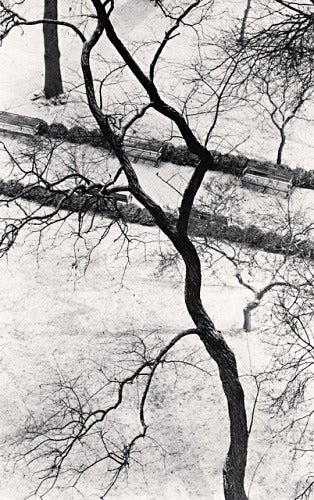 Michael Kenna Black and White Photograph - Homage to Kertesz, Gramercy Park, New York