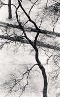 Homage to Kertesz, Gramercy Park, New York 3