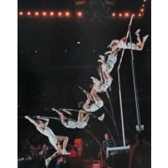 Pole Vault 5