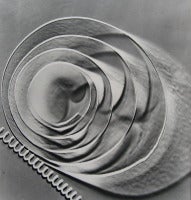 Fotogramma No. 33 10