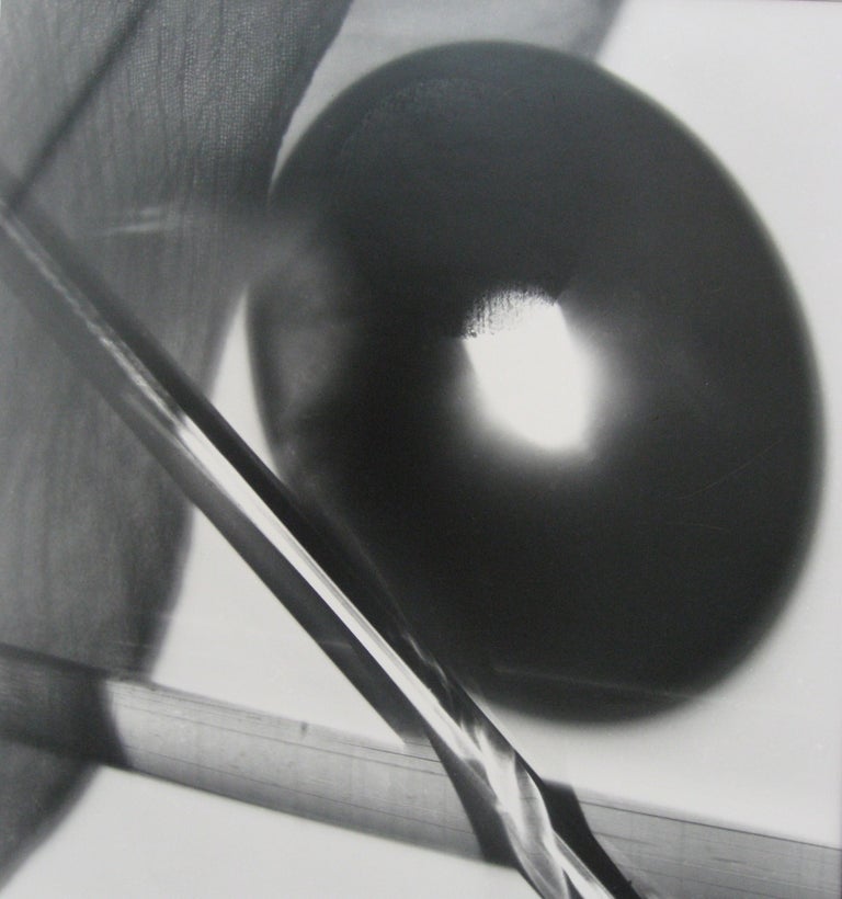 Luigi Veronesi Abstract Photograph - Fotogramma no. 56 & no. 57