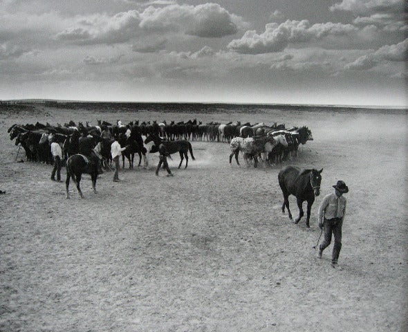 Part of His String, YP Ranch, Nevada