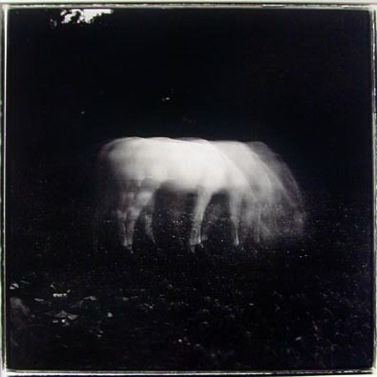 Keith Carter b.1948 Figurative Photograph - White Horse in Moonlight