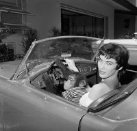 Dondi Penn with Chimpanzee in Car 4